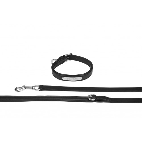 Eskadron Leather Dog Collar and Leash