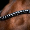 Imperial Riding SS26 Browband IRHMaxima