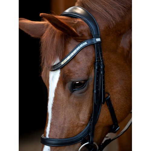 HorseGuard Anatomical Bridle Tine
