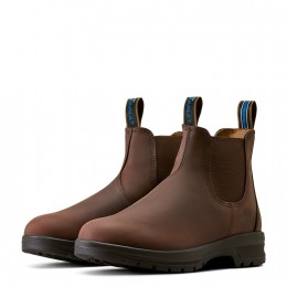 Ariat Cooper челси