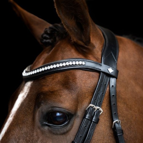 Imperial Riding Snaffle Bridle IRH simple combined noseband