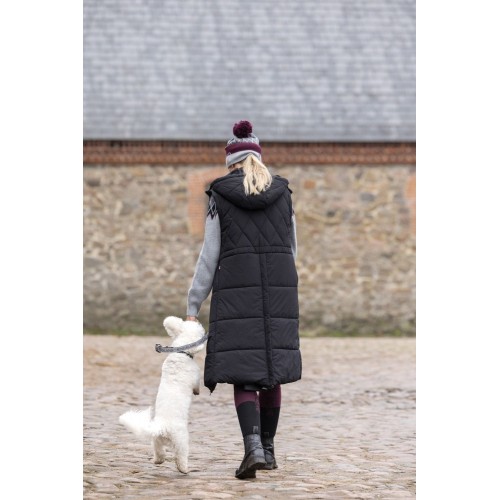 Kingsland FW25 Collar and leash KLMacey