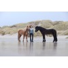 Eques x Kingsland Jodhpur Riding Breeches Winter Hekla