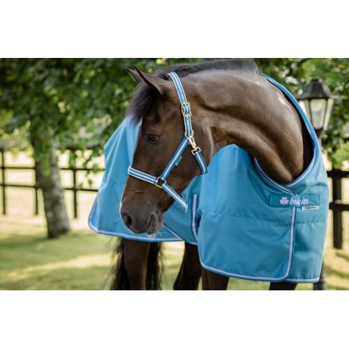 Bucas Freedom Turnout Blueberry