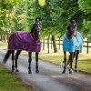 Bucas Freedom Turnout Blueberry
