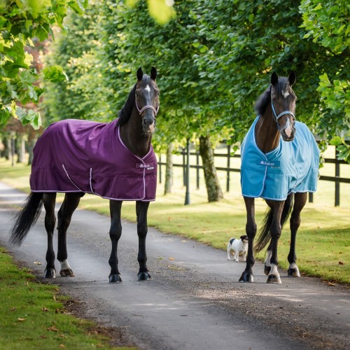 Bucas Freedom Turnout Blueberry