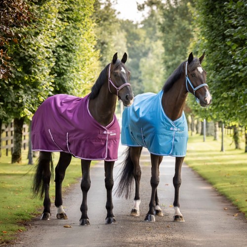 Bucas Freedom Turnout Blueberry