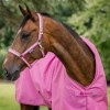 Bucas Freedom Turnout Aurora Pink