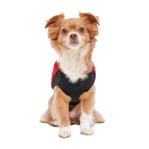 Hofman Goo-eez Dog Blanket
