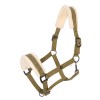 Imperial Riding FW25 Halter Jewel