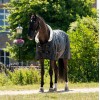 HB Showtime Show Rug Fluffy Hood
