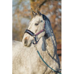Horka FW'20 недоуздок комплект Ride More зимний