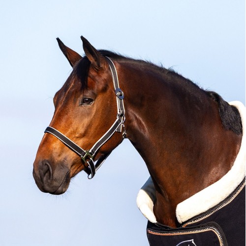 HypoStore Assorted Halter