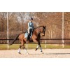 Equestrian Stockholm Steel Blue Dressage Saddle Pad