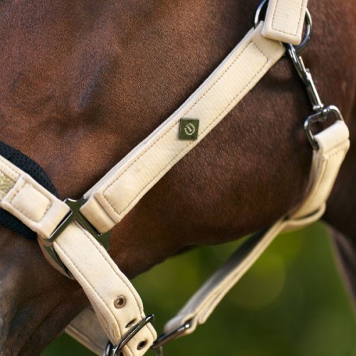 Imperial Riding SS26 Halter IRHJewel Mesh