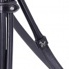 Schockemöhle X Isabell Werth Double Bridle Bella Rose