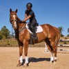 Weatherbeeta Prime Air-Tec Jumping Saddlepad
