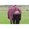 Weatherbeeta Comfitec Essential Turnout Detach-A-Neck 220G