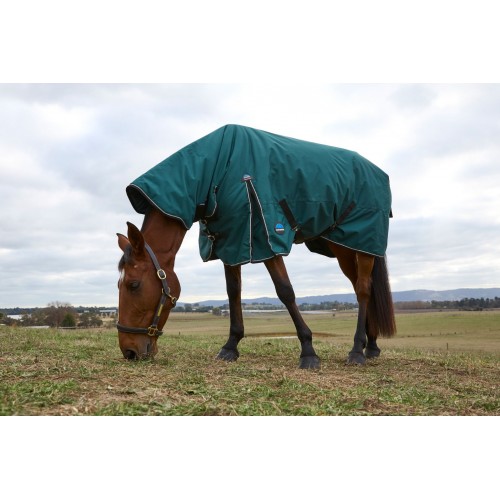 Weatherbeeta Comfitec Classic Turnout Combo 50G
