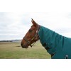 Weatherbeeta Comfitec Classic Turnout Combo 50G