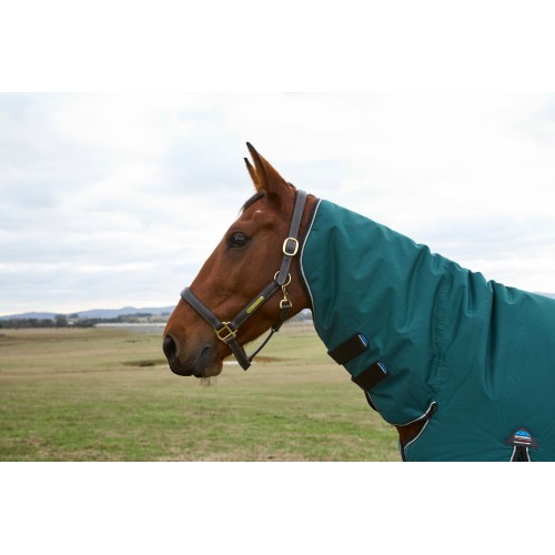Weatherbeeta Comfitec Classic Turnout Combo 360G