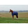 Weatherbeeta Comfitec Tyro Turnout Standard Neck 220G