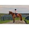 Weatherbeeta Softshell Pro 3D Air-Tec All-Purpose Saddlepad