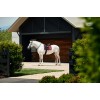 Weatherbeeta Softshell Pro 3D Air-Tec Dressage Saddlepad