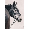 Schockemöhle Bridle Rio Select