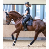 Waldhausen Saddle Pad Modern Rose