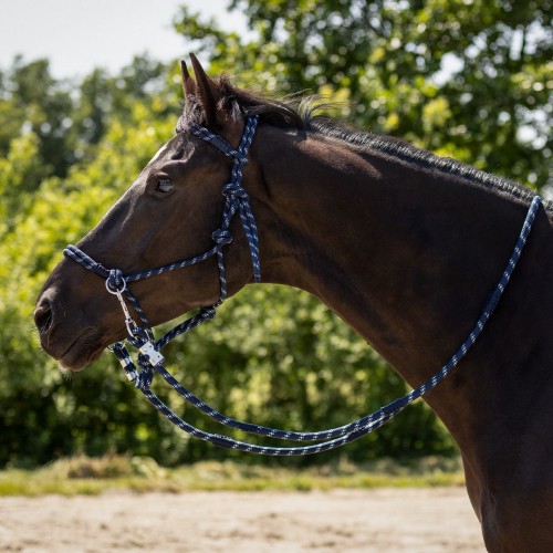 QHP SS26 Rope halter with lead rope Aubree