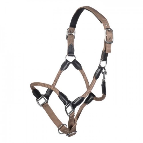 HKM Carlotta Halter