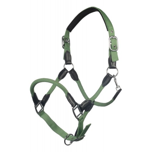 HKM Carlotta Halter