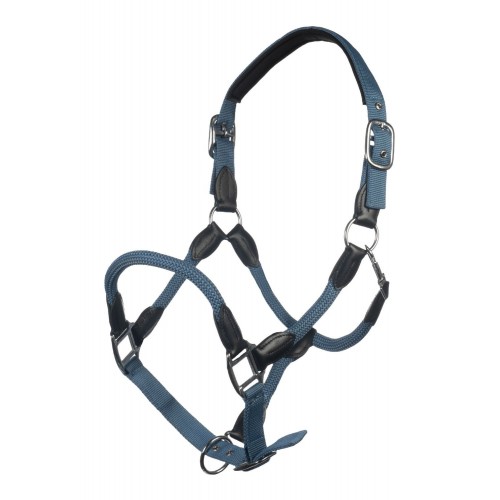 HKM Carlotta Halter