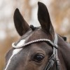 Passier Waved Browband with Extra Large Premium Crystals