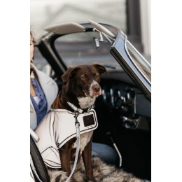 Kentucky пальто для собак Reflective