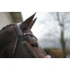 HKM Manchester Bridle