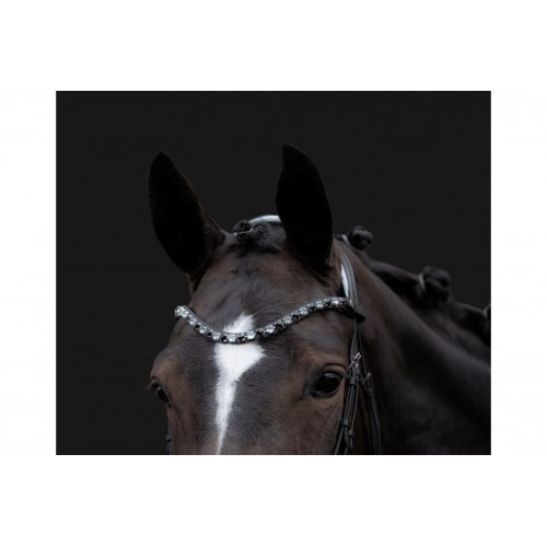 HKM Manchester Bridle