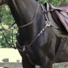 Kavalkade Breastplate Bianca