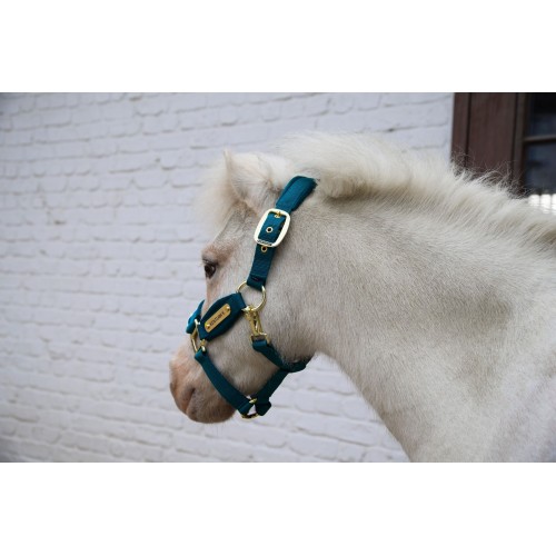 Kentucky Velvet Halter