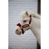 Kentucky Velvet Halter