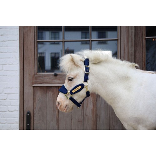 Kentucky Velvet Halter
