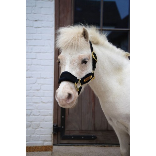Kentucky Velvet Halter