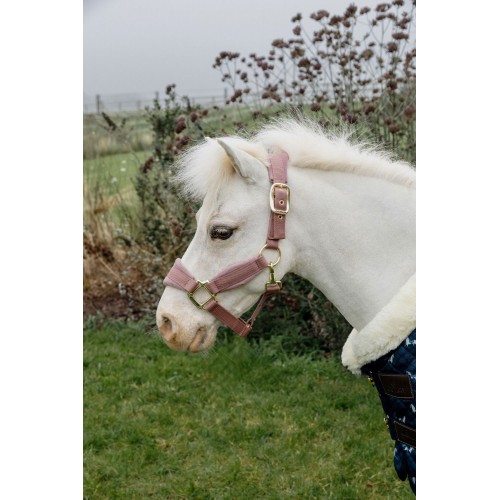 Kentucky Velvet Halter