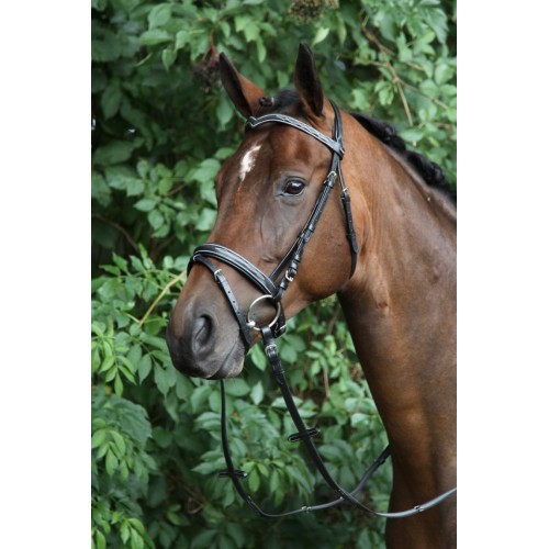 Horka Verdi Bridle