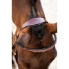 BR Bridle Shepshed