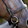 Kavalkade Bridle Cajus