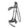 Kavalkade Bridle Cajus