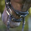 Kavalkade Bridle Calla