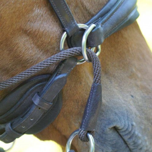 Kavalkade Bitless Bridle Cross Light